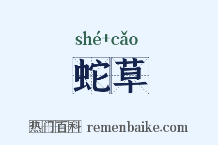 蛇草是什么意思的图片